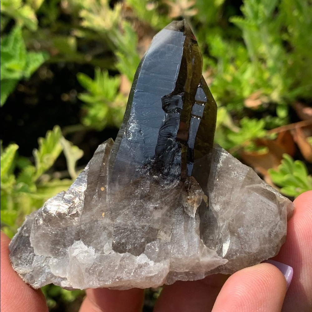 Morion Smoky Quartz From California